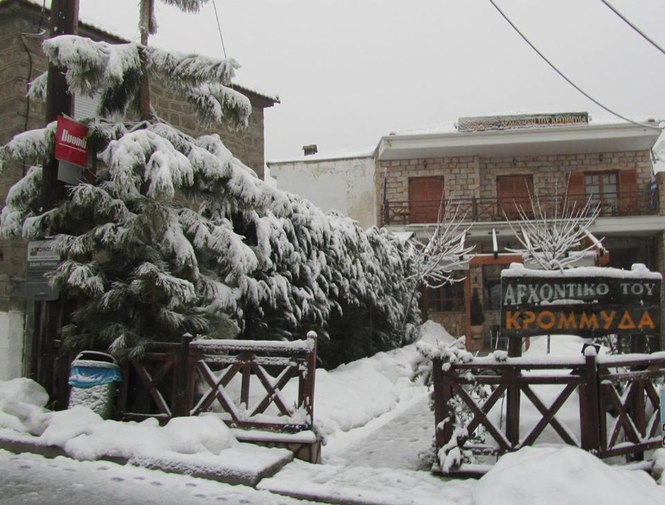 Archontiko Tou Krommyda Elati  Exterior photo