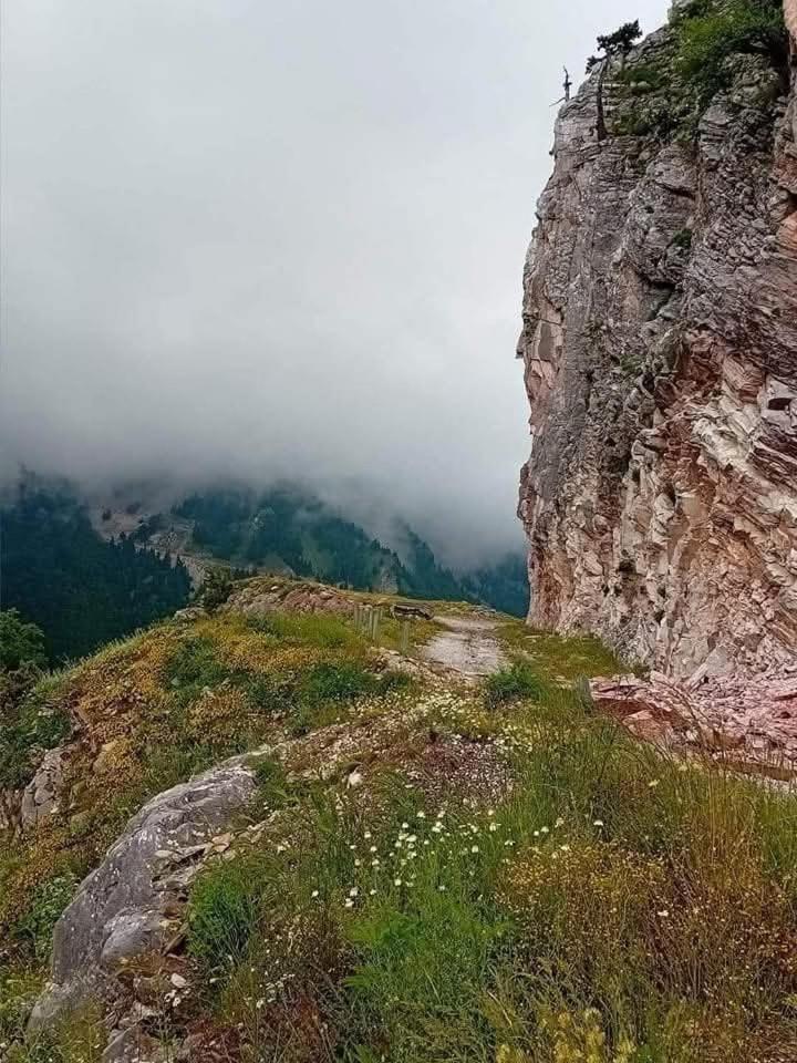 Archontiko Tou Krommyda Elati  Exterior photo