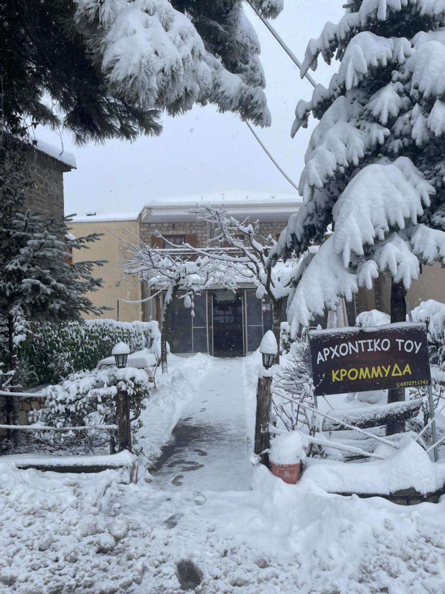 Archontiko Tou Krommyda Elati  Exterior photo